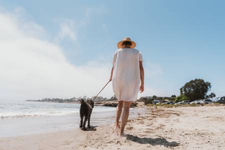 Pet Friendly Rentals Santa Barbara